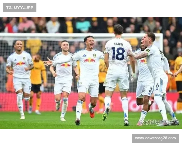 英超中资球队狼队困境:换帅难挽开局颓势 英超中资球队狼队困境:换帅难挽开局颓势