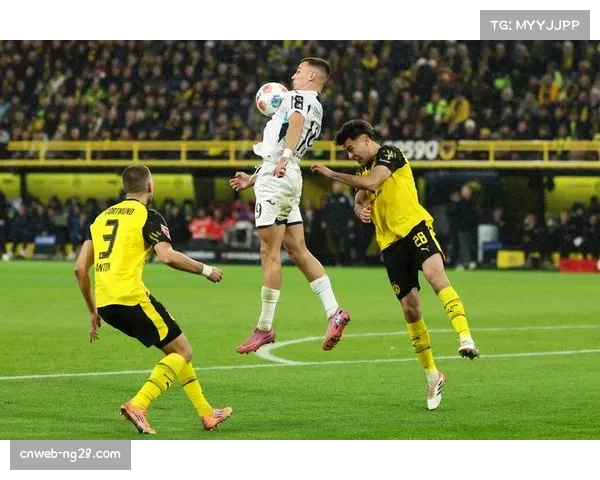 多特蒙德主场战胜霍芬海姆，布兰特与施洛特贝克破门